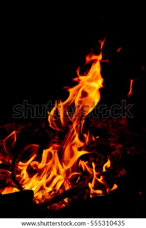 Nature Fire flames at dark night. Freeze motion of Red-Yellow fire flames burning.Burning camp fire with hot flames.
