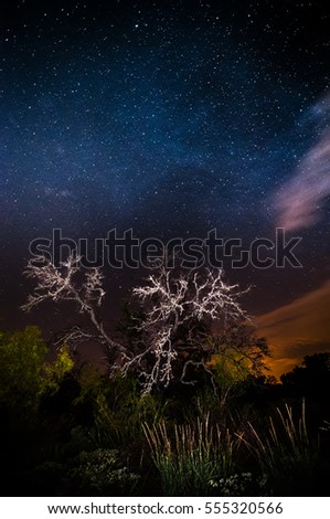 The Milky Way is visible over an old oak tree and a field of tall grass in the central Texas Hill Country at Pedernales Falls State park. 