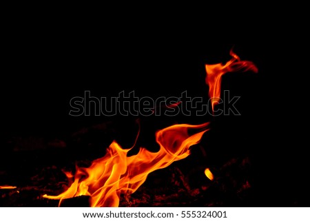 Nature Fire flames at dark night. Freeze motion of Red-Yellow fire flames burning.Burning camp fire with hot flames.