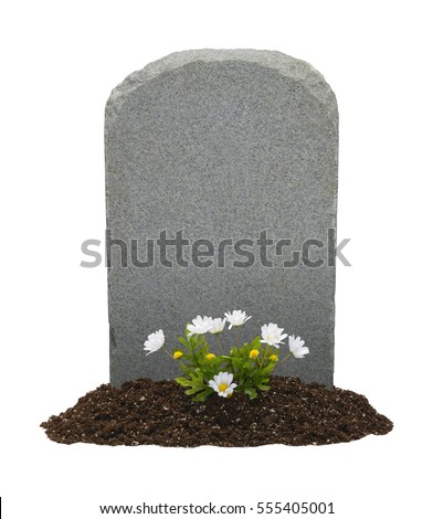 Headstone and Flowers with Copy Space Isolated on White Background. Royalty-Free Stock Photo #555405001
