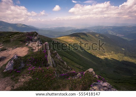 beautiful landscape in the mountains