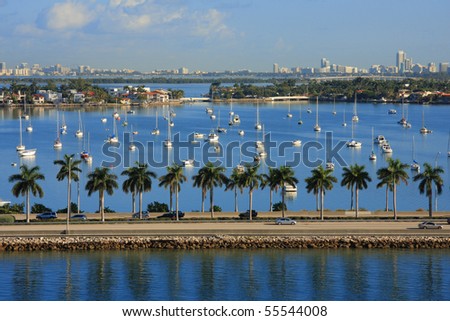 Miami day,Florida , USA.