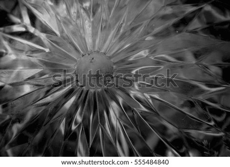 Black and White Photograph of a Clear Sunburst Patterned Ball Ornament