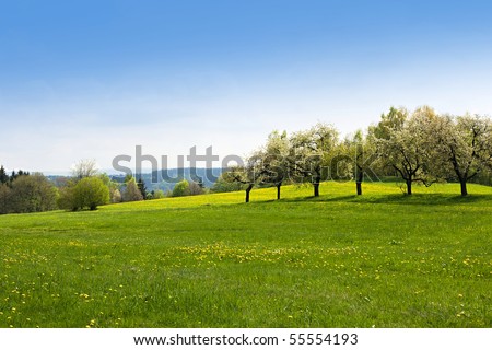 Green grass field landscape with blue sky in the background