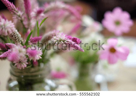 soft focused Pink flower in vase for background.