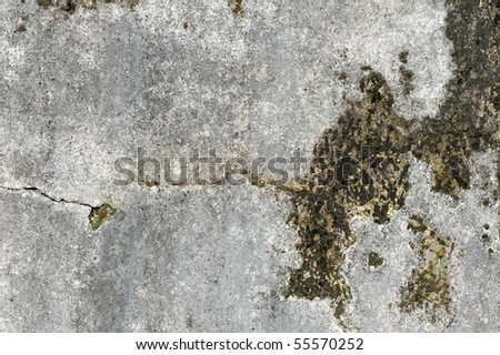 Concrete wall with a dirty crack