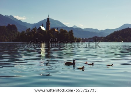View On Bled Lake, Island,Church And Castle.
 Bled,Slovenia,Europe