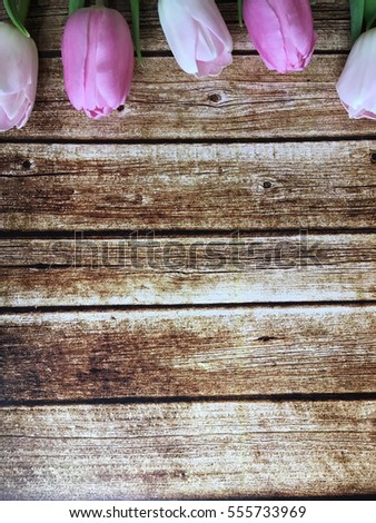 Tulips on  wooden background with space for your text. Valentines background. 