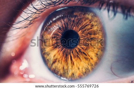 Macro pupil retina human colse eye photo  Royalty-Free Stock Photo #555769726