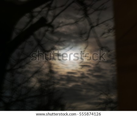 blurry foll moon through branches