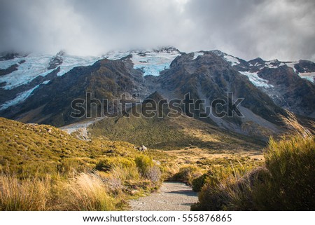Aoraki Mount Cook, Hooker Valley Track along alpine grasslands