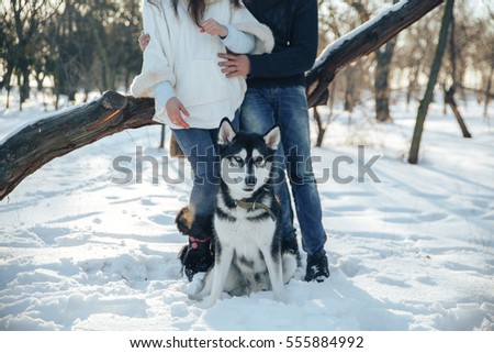 A young pregnant couple walking in a snowy forest in the winter with the dog Husky
