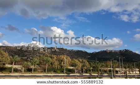 Haifa city district on the hill, blue sky with white clouds, palms along highway, beautiful sunny day, Israel