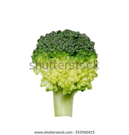 Natural energy source of Vitamin C and anti-cancer compound sulforaphane. Healthy ecological broccoli flower macro photo. Natural Health protection from cancer