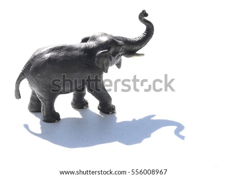 a picture of a figure of a grey elephant with its shadow. isolated in withe