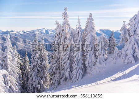 Mountain ski resort, Romania,Transylvania, Brasov, Poiana Brasov