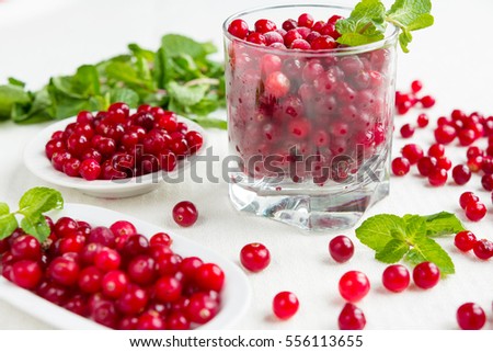 Fresh juicy cranberry and mint juice, close-up