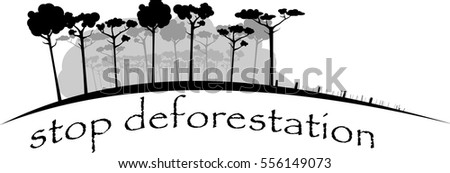 image shows felling rain forest in gray colors