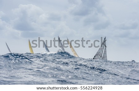 The group of sailing boats with big wave. We can see only sails. Royalty-Free Stock Photo #556224928