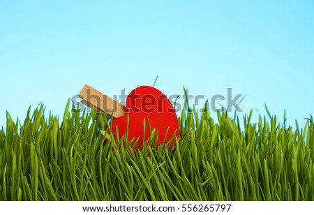 One red wooden heat clothespin in fresh green grass over clear blue sky, close up, low angle view