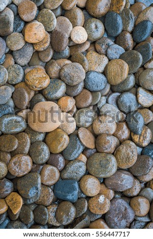 Wet rock river texture background