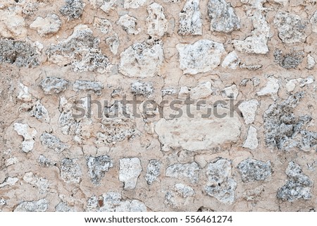Old stone wall made of coquina, detailed background texture photo