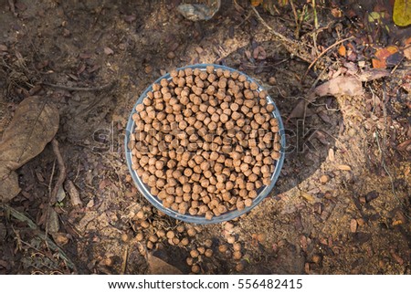 fish feed in a small bowl (sunset tone)
