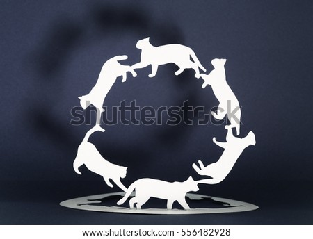 Cats in circle, illustrated by a paper cutout.