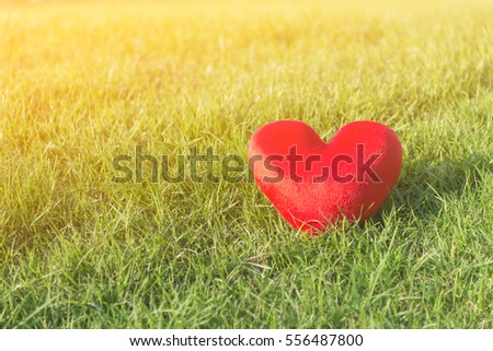 Red soft heart small pillow shape for Valentines day on green grass background with soft yellow sunlight and copy space, selective focus