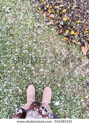 Beige woman boots on the grass covered with first snow. Top view. Autumn and winter scene. 
