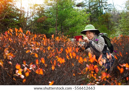 Senior Korean woman with smart phone taking pictures of nature while hiking in a forest