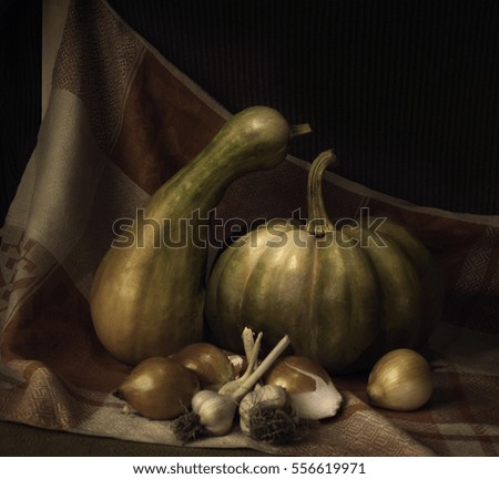 Rustic  autumn still life  with pumpkins, onion and garlic 