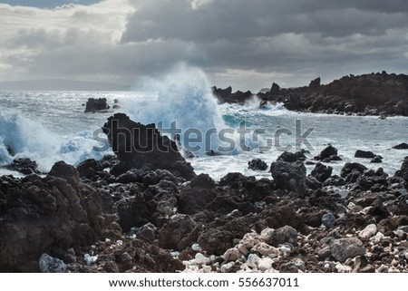 Hawaiian Waves