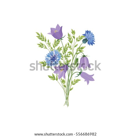 Flowers isolated. Floral summer bouquet. Meadow nature decor with bluebells and  blue cornflowers.