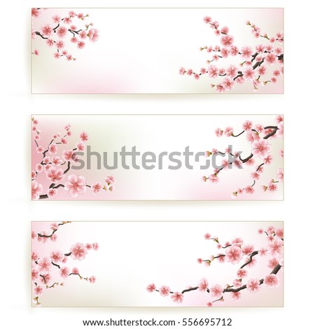 Sakura, Cherry Blossoming Tree Background Illustration. Set of Beautiful Floral Banners, Greeting cards, Wedding Invitations, Backdrops, Vouchers. EPS 10 vector file included