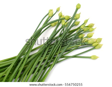 fresh Allium tuberosum isolated on white background
