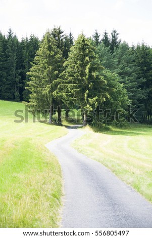 FOREST PATH, COUNTRYSIDE, RURAL LANDSCAPE, EMPTY ROUTE