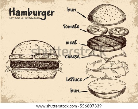 Hamburger ingredients with meat, cheese, tomato, salad, bun,  and lettuce. Classic burger isolated on a white background. Big hamburger with ingredients. Hamburger ingredients with text. Royalty-Free Stock Photo #556807339