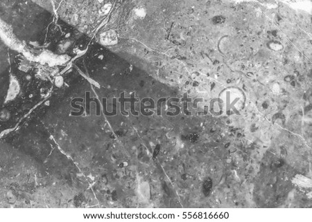 Black and white textured stone background in high resolution.