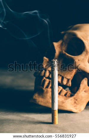 abstract still life Skull of a Skeleton with Burning Cigarette, stop smoking campaign concept with copy space.