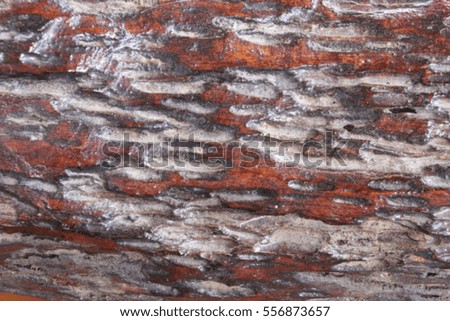blurry wood wall and wood floor interior and background texture