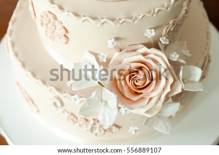 Wedding cake, cake for a wedding Royalty-Free Stock Photo #556889107