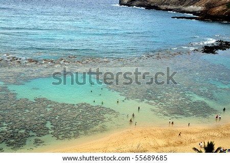 Snorkelers at Oahu's most famous snorkeling spot - Hanauma Bay, Oahu, Hawaii