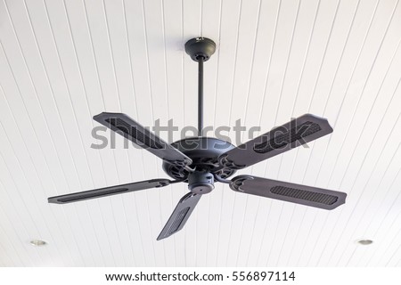 Electric ceiling fan Royalty-Free Stock Photo #556897114