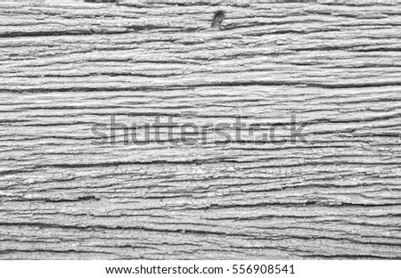 
Close-up bright wood texture. High resolution picture of blank space for vinyl card roll up tidy ornate creativity seamless design peel teak angle view ideas streak chic fiber finish grunge art warm