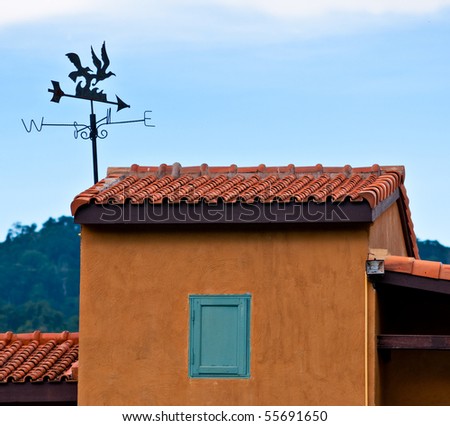 Weather cock on the roof