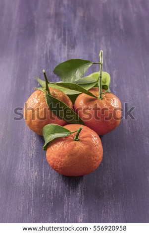 A photo of vibrant orange tangerines with green leaves on a purple texture with copyspace