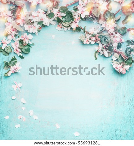 Beautiful spring nature background with lovely blossom, petal and bokeh on turquoise blue background , top view, frame. Springtime concept