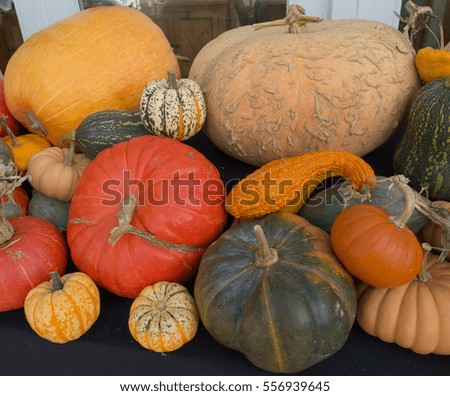 Display of Winter Squash, Pumpkins and Gourds on a table Top in Rural Devon, England, UK