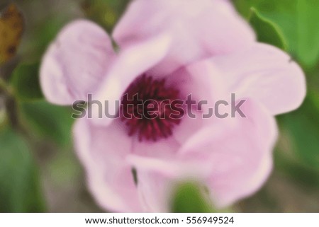 Blurred abstract background and can be illustration to article of pink flowers